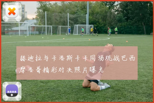 赫迪拉与卡洛斯卡卡同场观战巴西摩洛哥精彩对决照片曝光