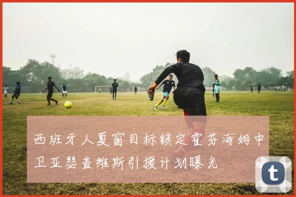 西班牙人夏窗目标锁定霍芬海姆中卫亚瑟查维斯引援计划曝光